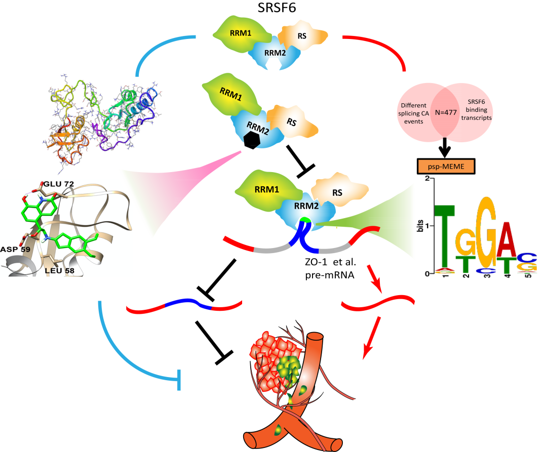 1511770643476361.png 01-1510280207-65785.png